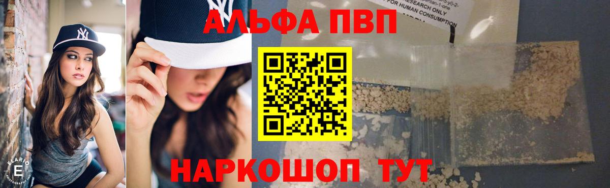 A PVP СК КРИС Белгород