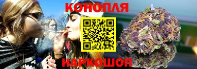 прущие грибы Пушкино