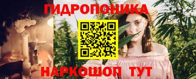 прущие грибы Пушкино