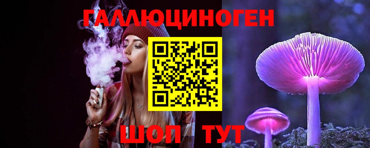 Псилоцибиновые грибы Psilocybe Белгород