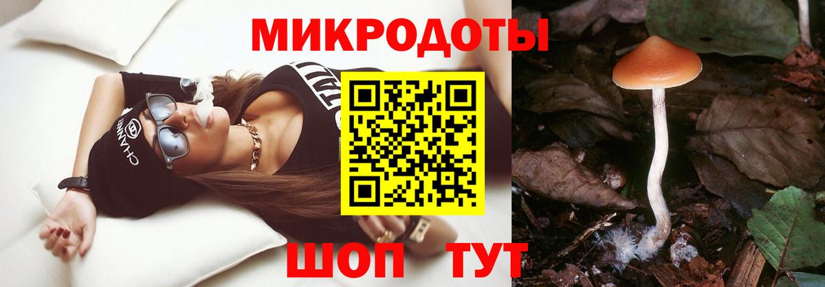 Белгород  Галлюциногенные грибы Cubensis  Вход с VPN 